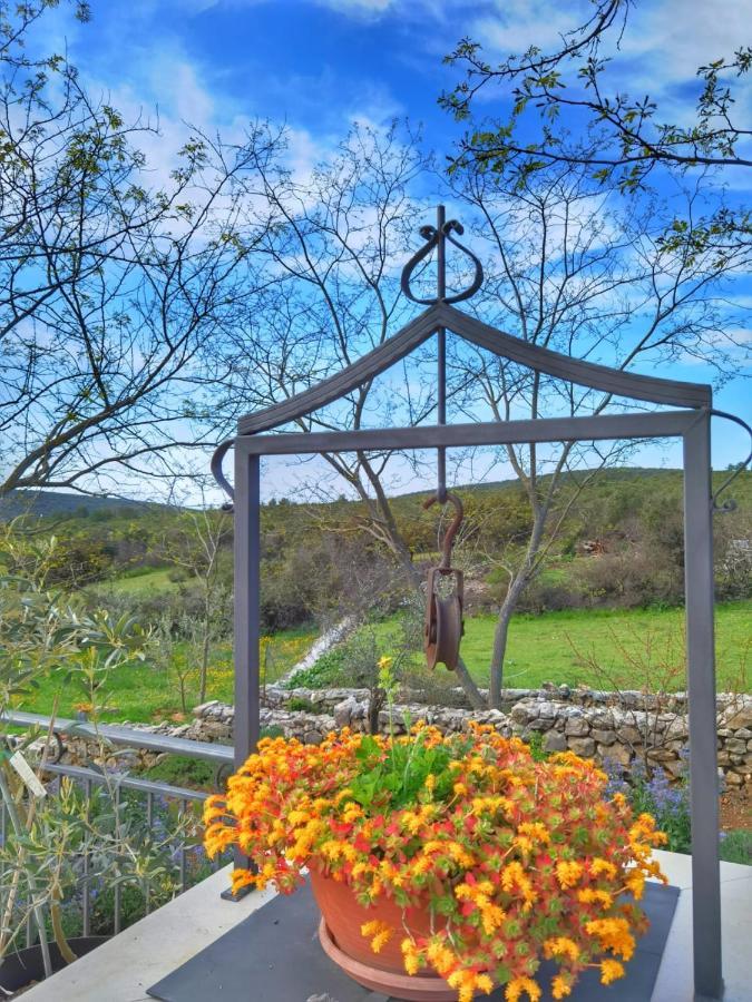Villa Mare Sveti Petar  Dış mekan fotoğraf